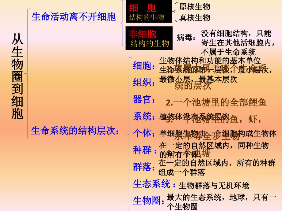 人教版教学课件必修一学业水平测试课件_第4页