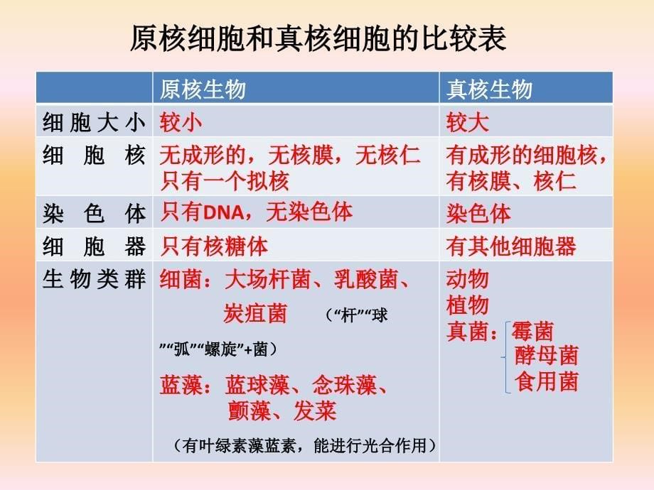 人教版教学课件必修一学业水平测试课件_第5页