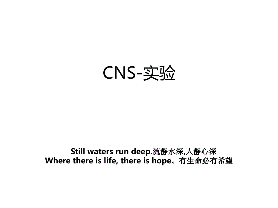 CNS实验复习课程_第1页