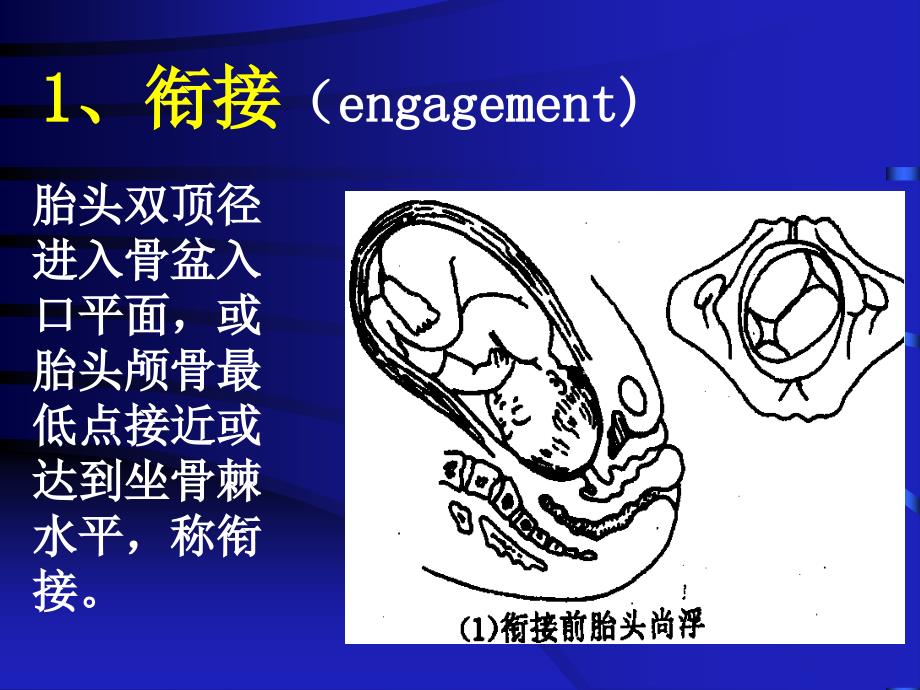 第二节正常分娩妇女的护理 ppt课件_第2页