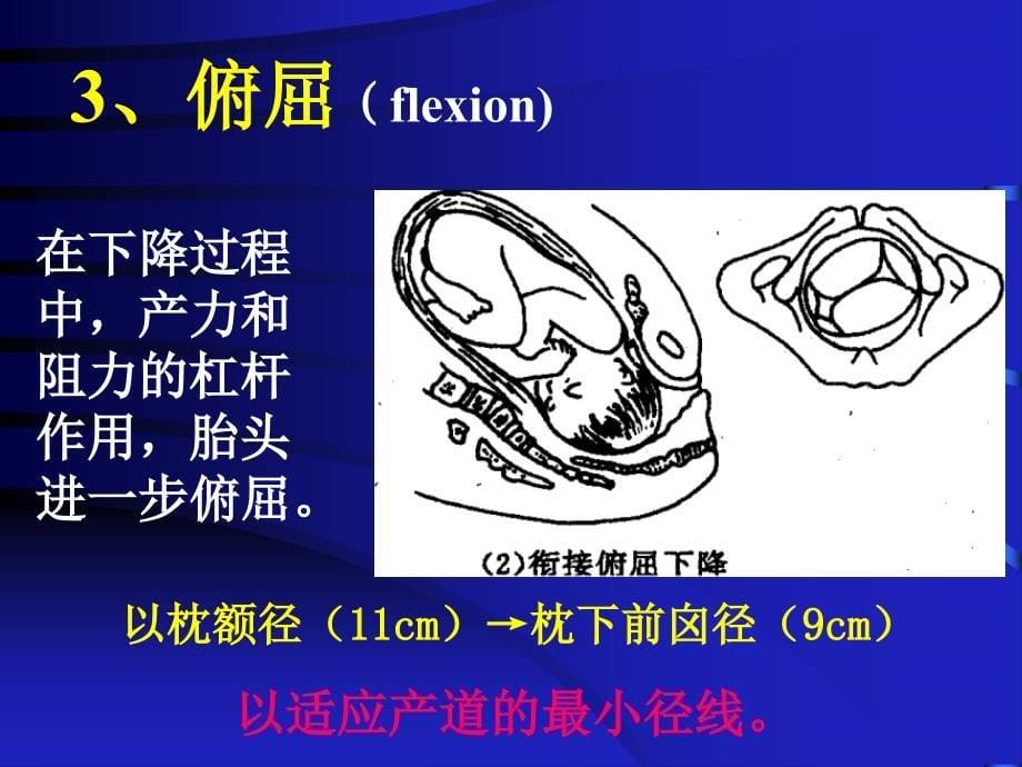 第二节正常分娩妇女的护理 ppt课件_第5页