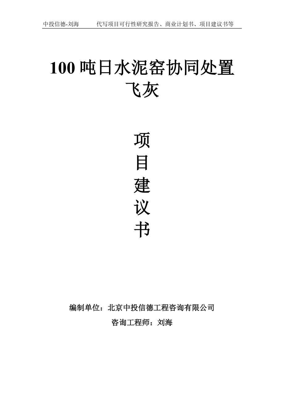 100吨日水泥窑协同处置飞灰项目建议书写作模板_第1页