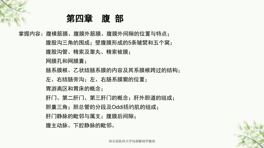 哈尔滨医科大学局部解剖学腹部课件_第2页