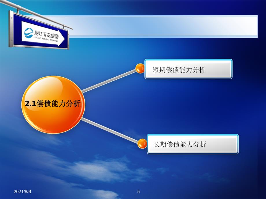 经典财务分析报告范例_第5页