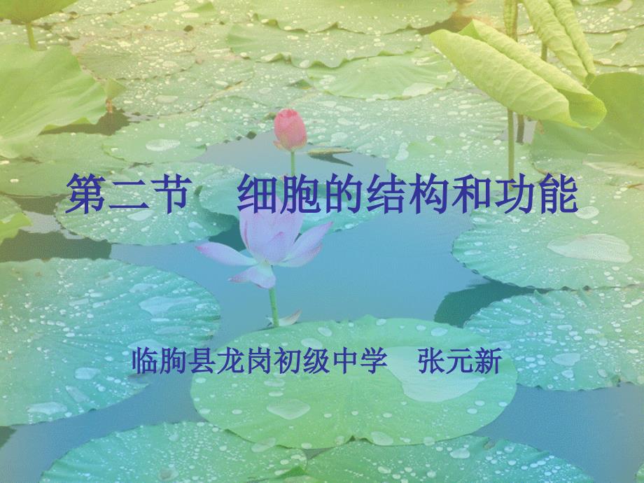 七年级生物细胞的结构和功能2_第1页