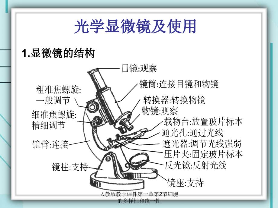 人教版教学课件第一章第2节细胞的多样性和统一性课件_第4页