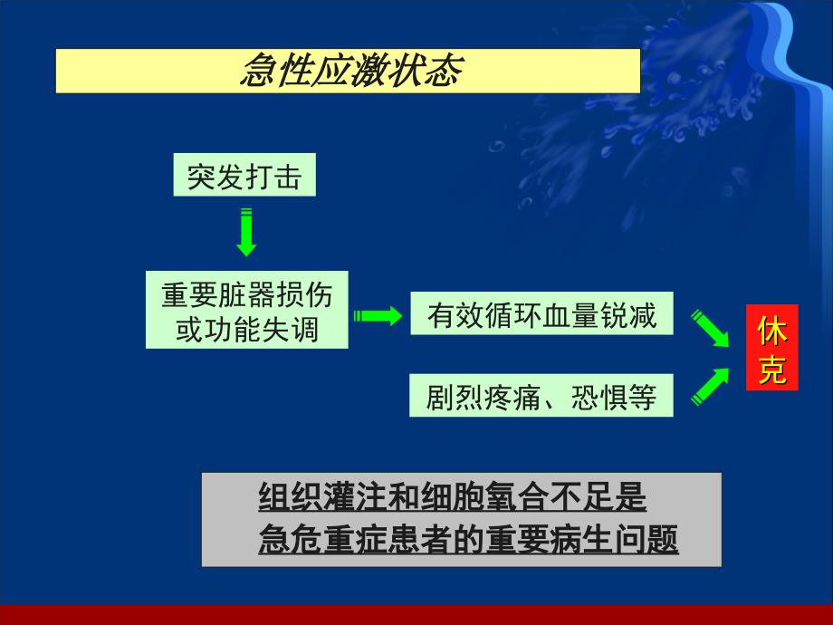 休克液体复苏护理巩月英_第4页