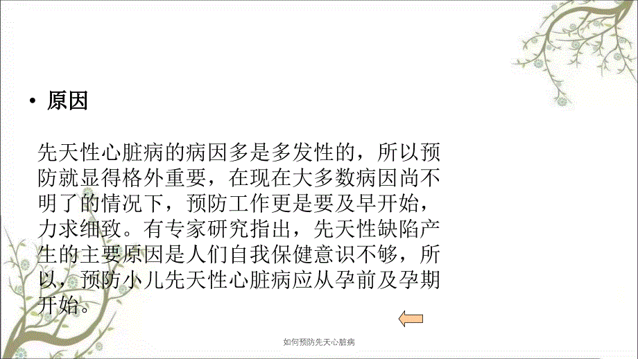 如何预防先天心脏病_第3页