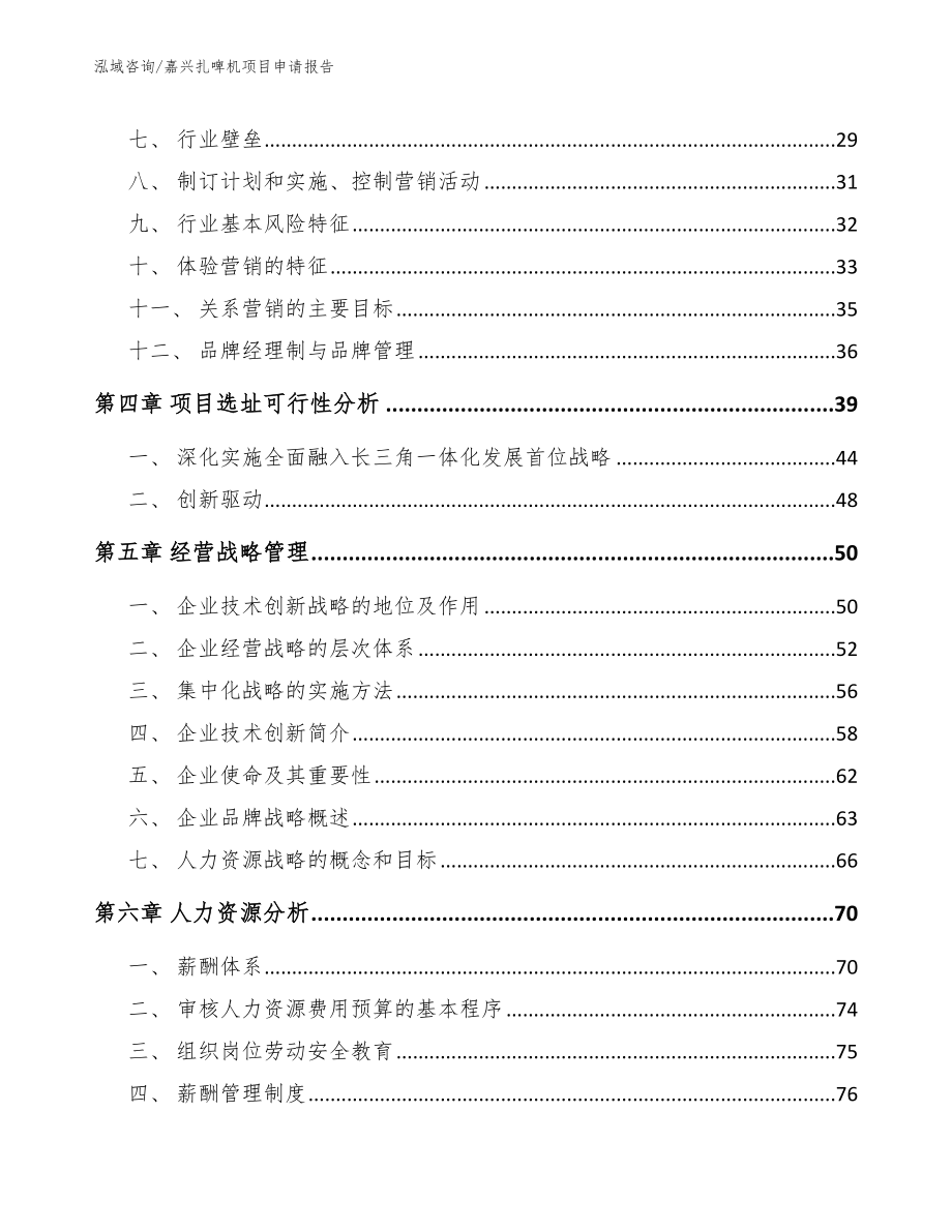 嘉兴扎啤机项目申请报告_参考模板_第2页