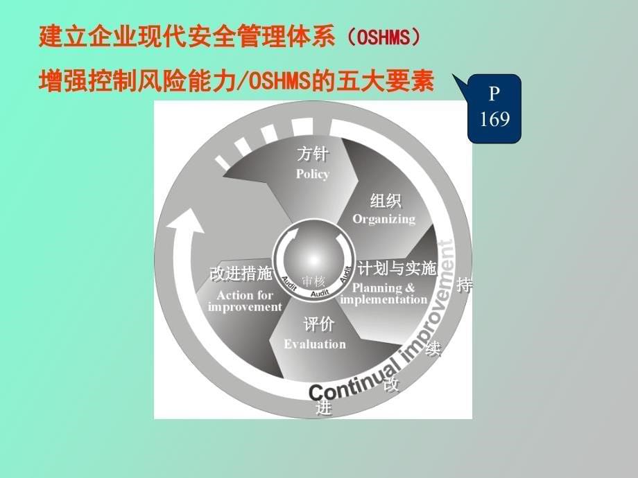 职业安全管理体系安全主任彭林_第5页