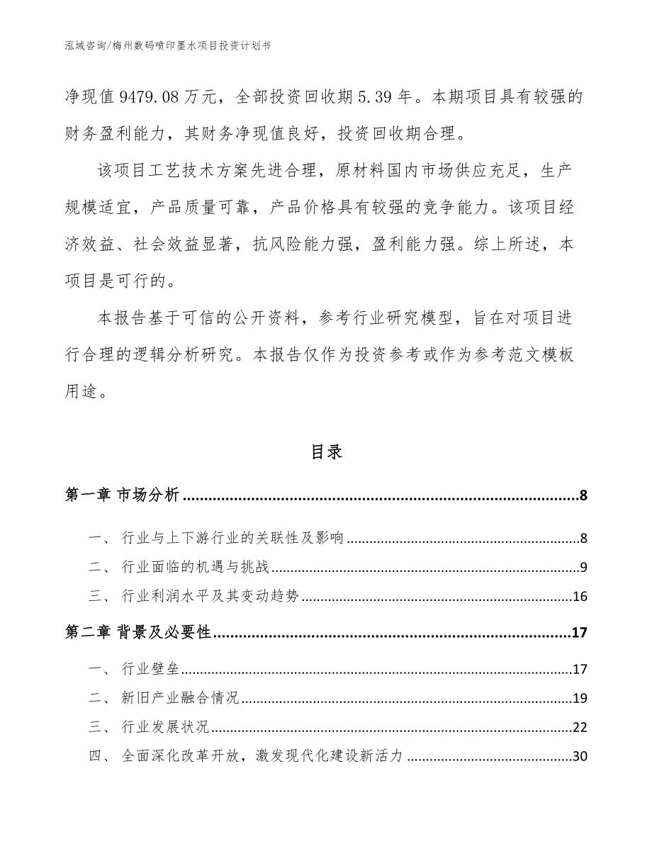 梅州数码喷印墨水项目投资计划书_第2页
