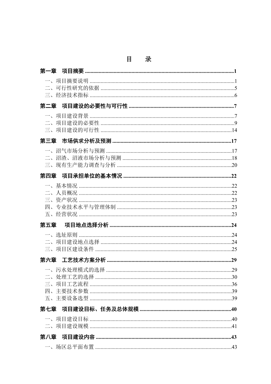 新辉煌养殖场(猪粪尿)大中型沼气工程建设项目可行性策划书.doc_第2页