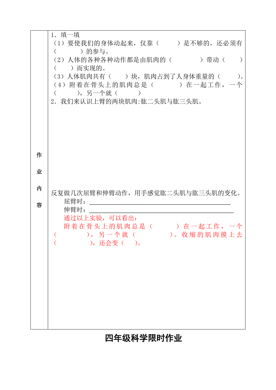 四年级科学下册限时作业设计_第3页