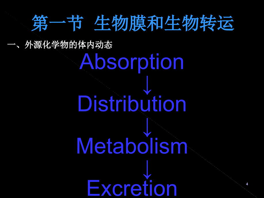 第三章外源化合物在体内的生物转运和转化_第4页