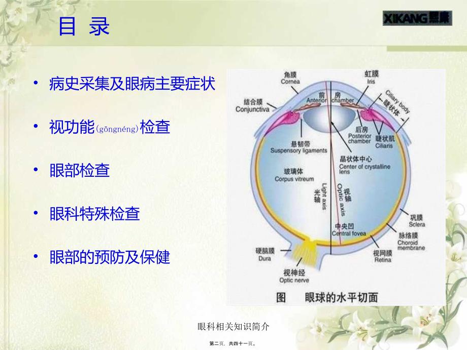 眼科相关知识简介课件_第2页