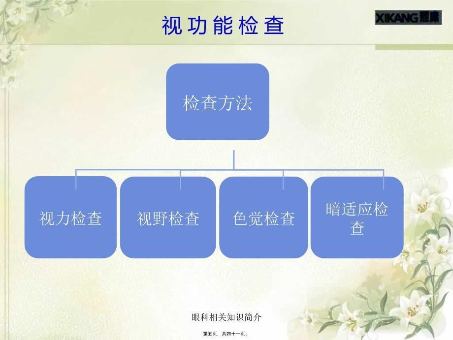 眼科相关知识简介课件_第5页