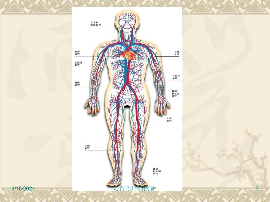 心血管疾病的预防课件_第2页