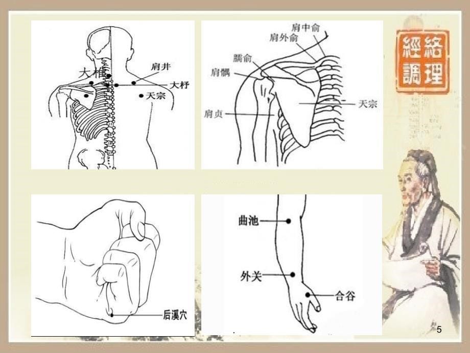 颈椎病的中医护理PPT医学课件_第5页