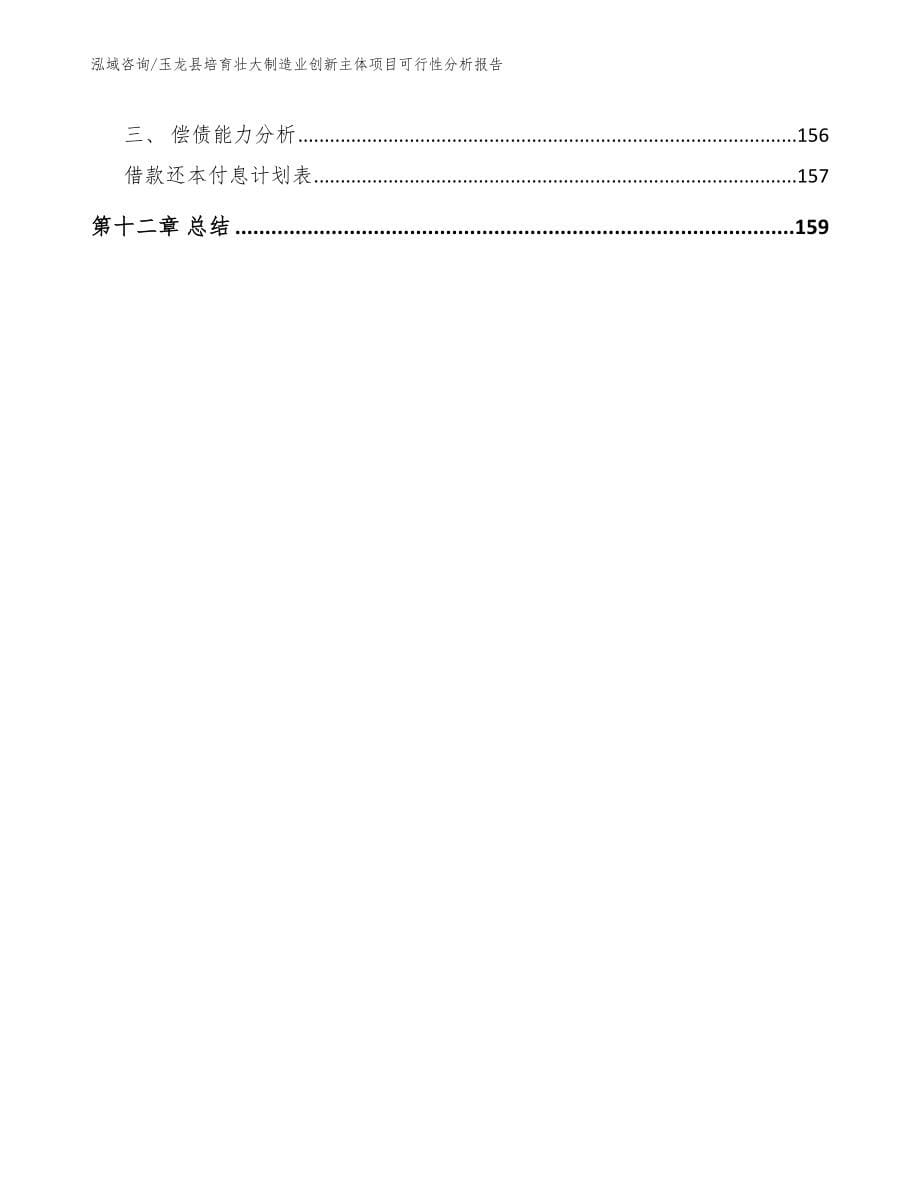 玉龙县培育壮大制造业创新主体项目可行性分析报告（参考范文）_第5页