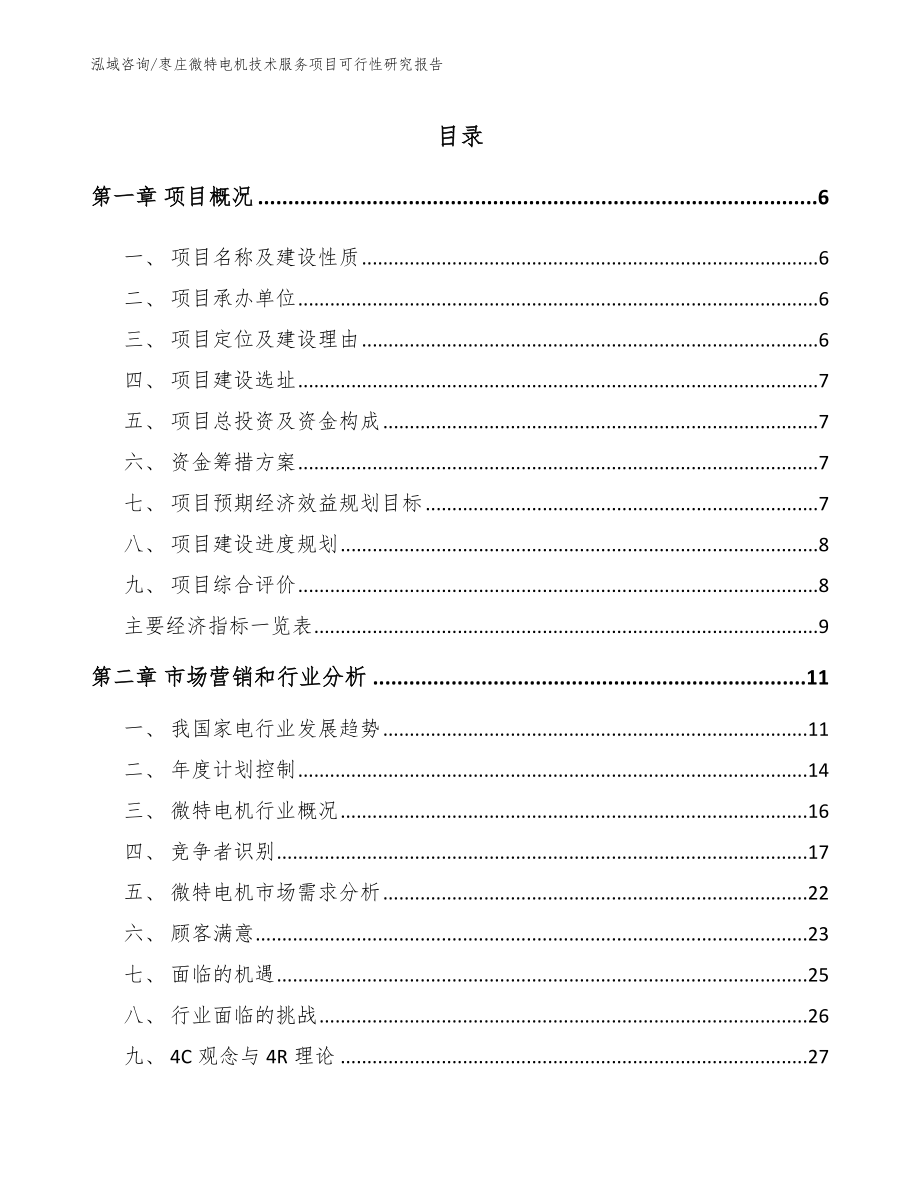 枣庄微特电机技术服务项目可行性研究报告（范文参考）_第1页