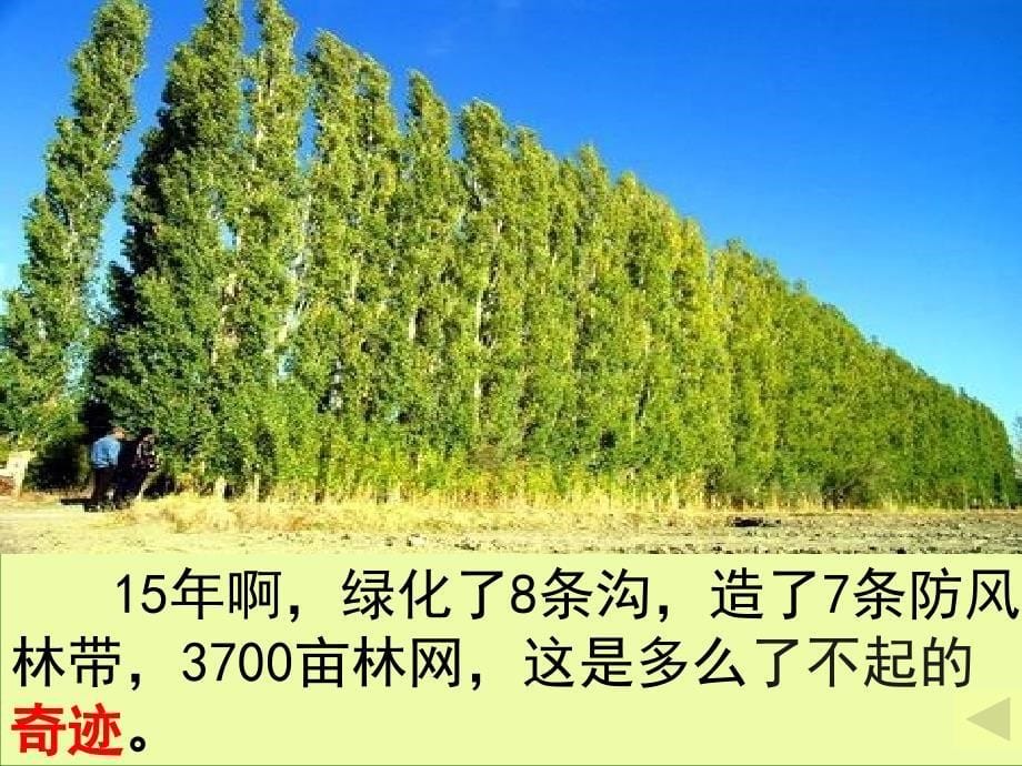 《青山不老》教学课件_第5页