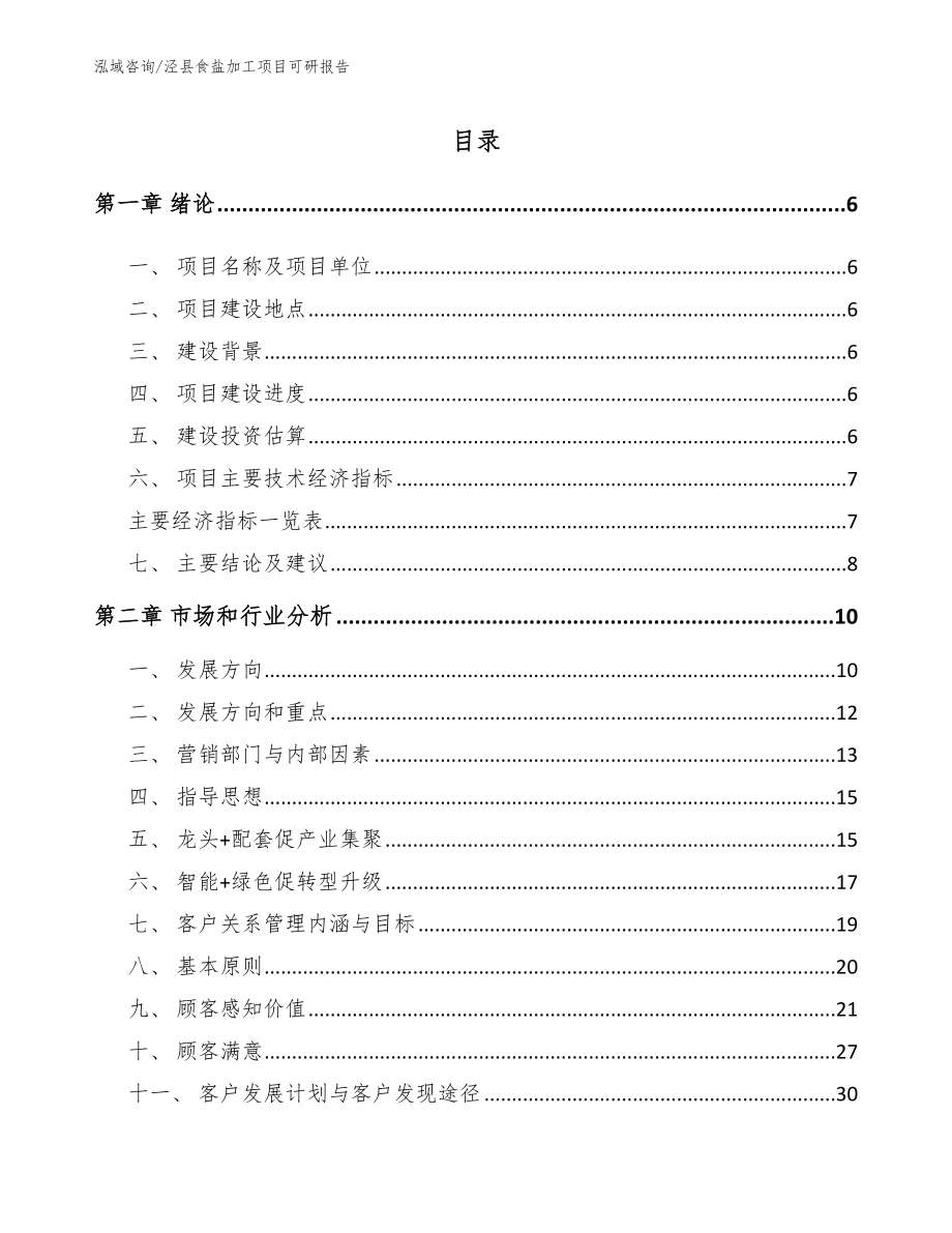 泾县食盐加工项目可研报告_第1页