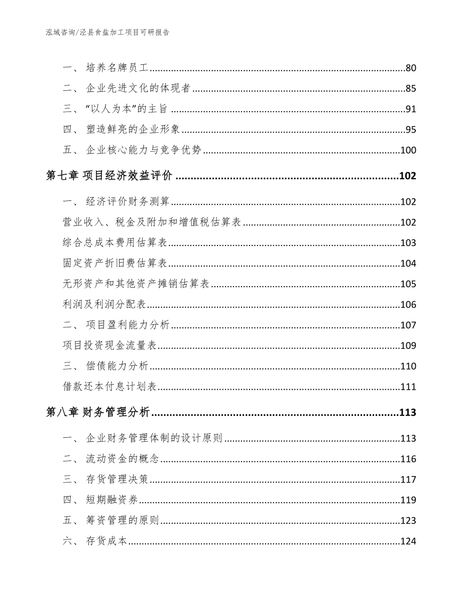 泾县食盐加工项目可研报告_第3页