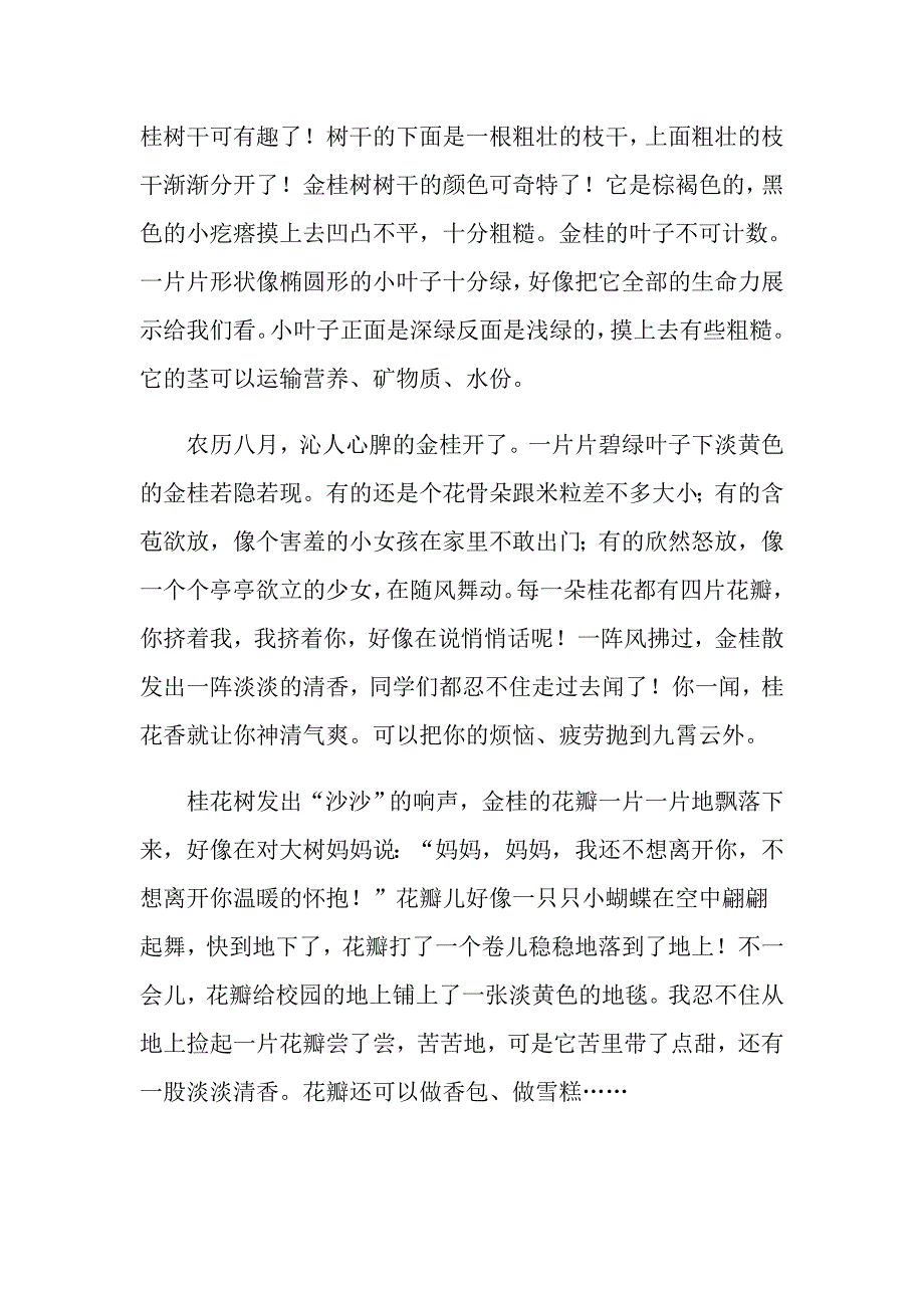 2022年初三周记锦集9篇_第4页