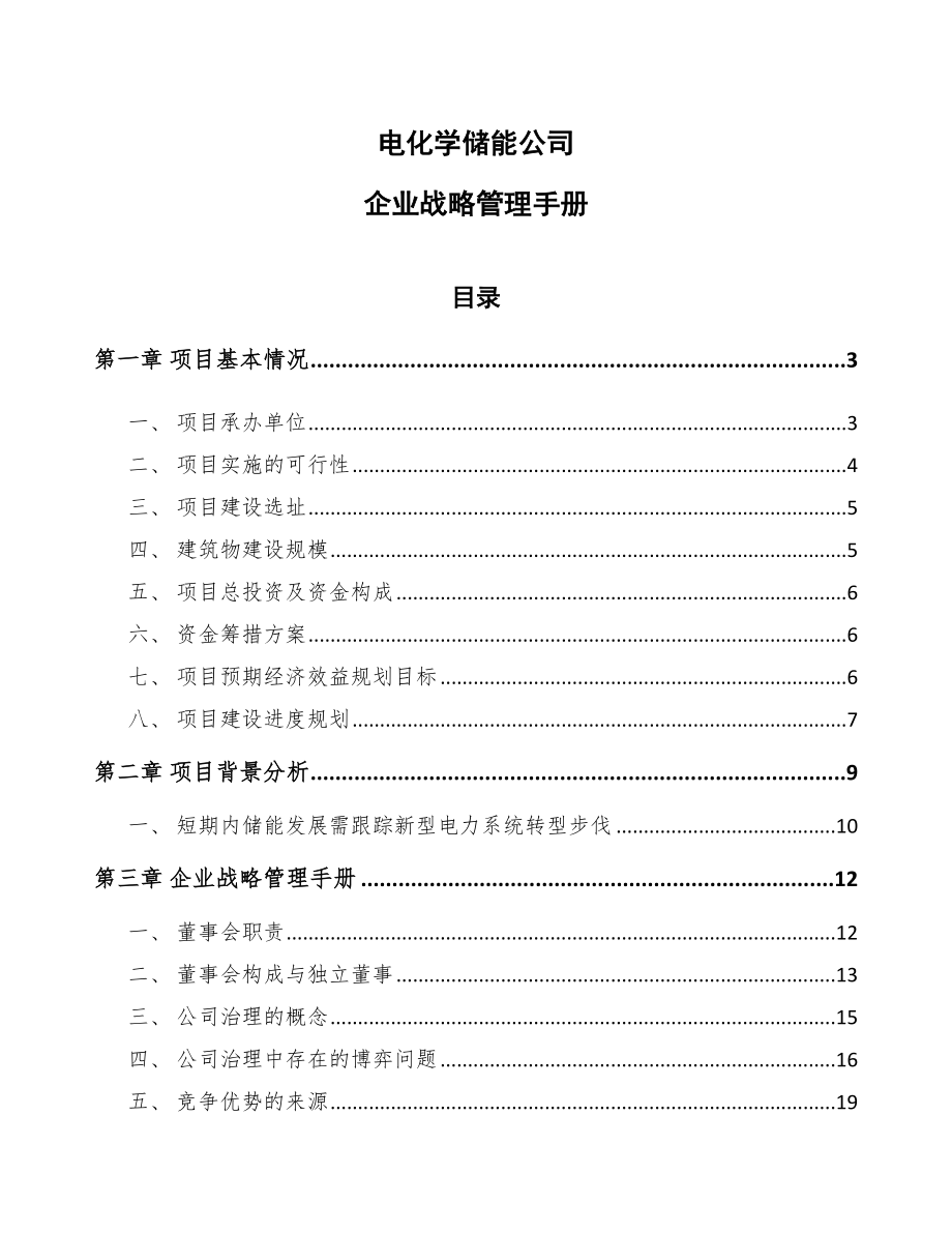 电化学储能公司企业战略管理手册_第1页