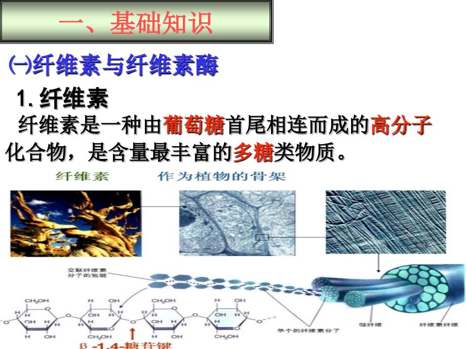 分解纤维素的微生物的分离LJ_第4页