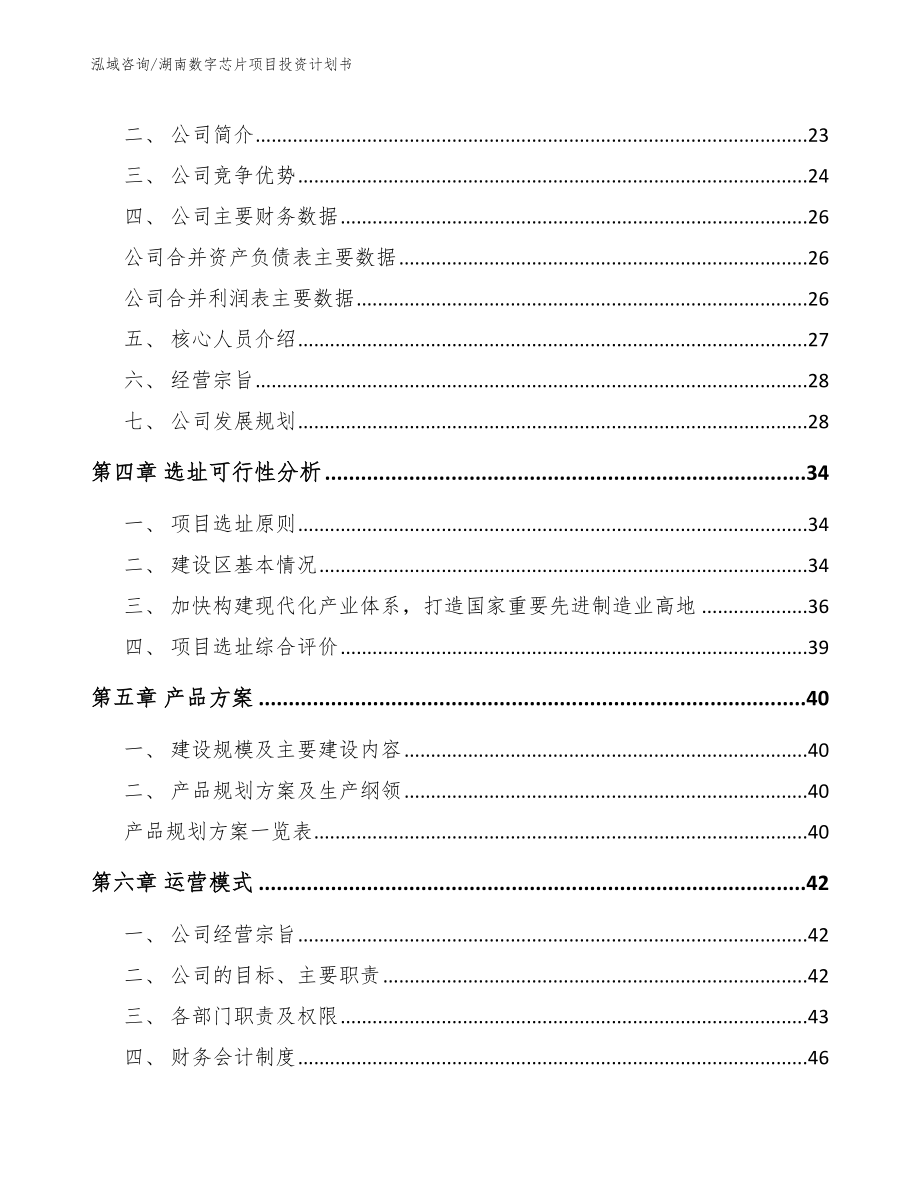 湖南数字芯片项目投资计划书_第3页