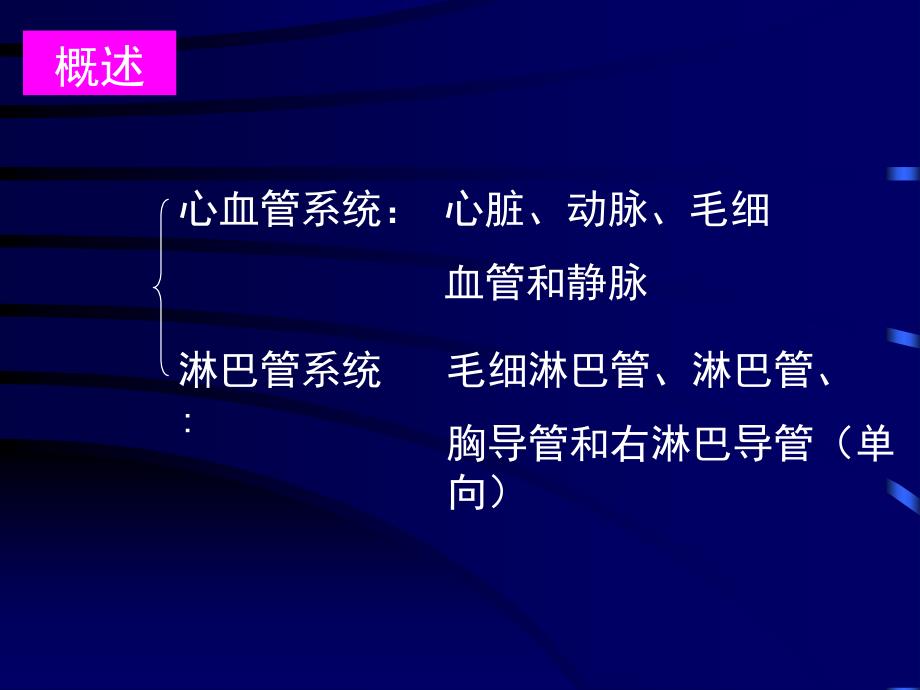 循环系统课件文档资料_第2页