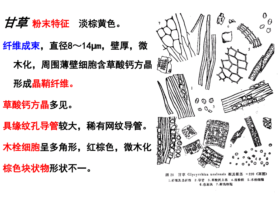 7种粉末显微特征.ppt_第2页