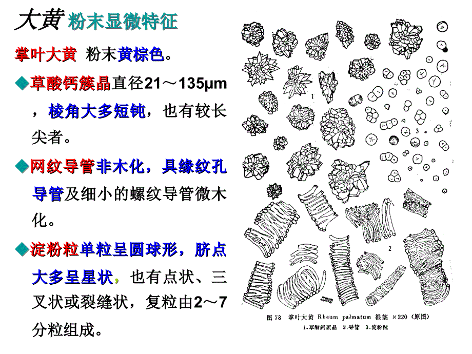 7种粉末显微特征.ppt_第3页