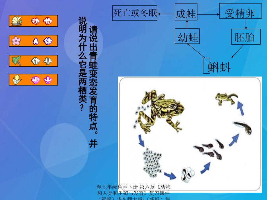 最新七年级科学下册第六章动物和人类和生殖与发育复习课件新版华东师大版新版华东师大级下册自然科学课件_第3页