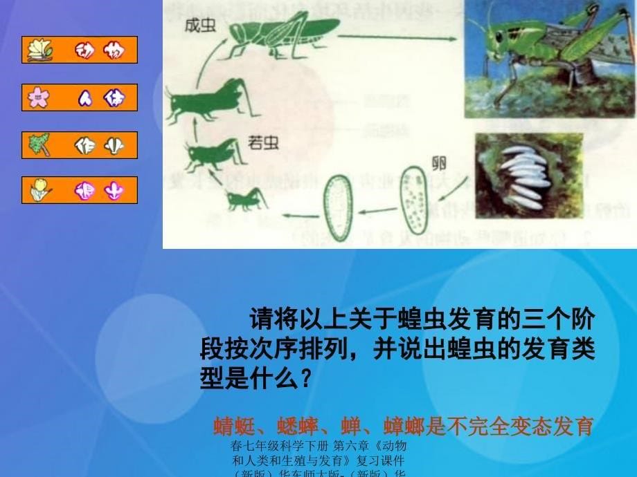 最新七年级科学下册第六章动物和人类和生殖与发育复习课件新版华东师大版新版华东师大级下册自然科学课件_第5页