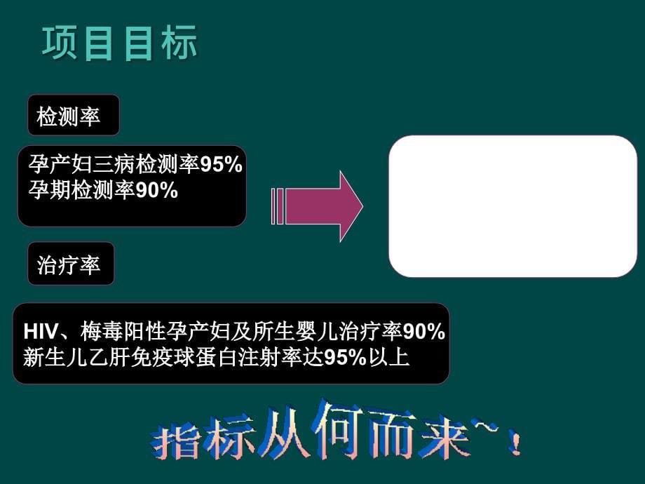 预防艾滋病、梅毒和乙肝母婴传播信息管理_第5页