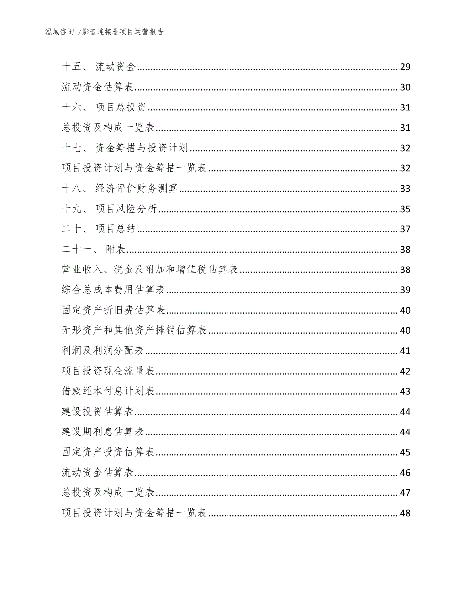 影音连接器项目运营报告（范文参考）_第2页