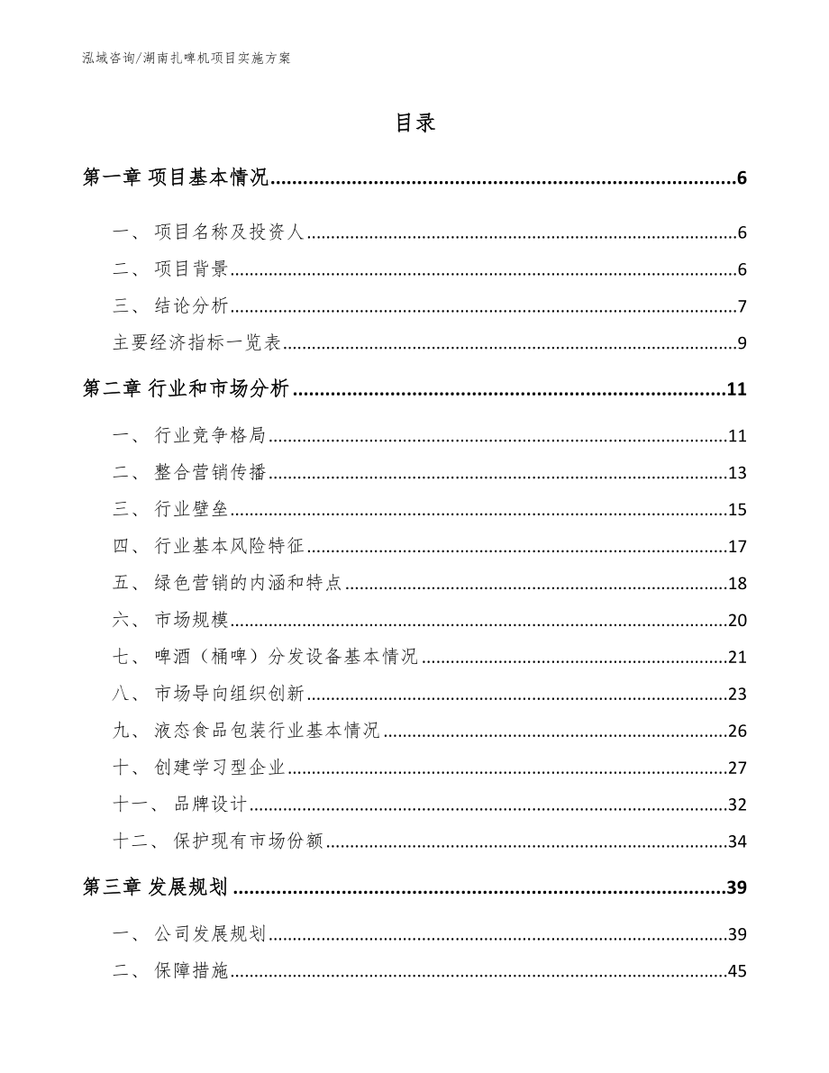 湖南扎啤机项目实施方案【参考范文】_第1页