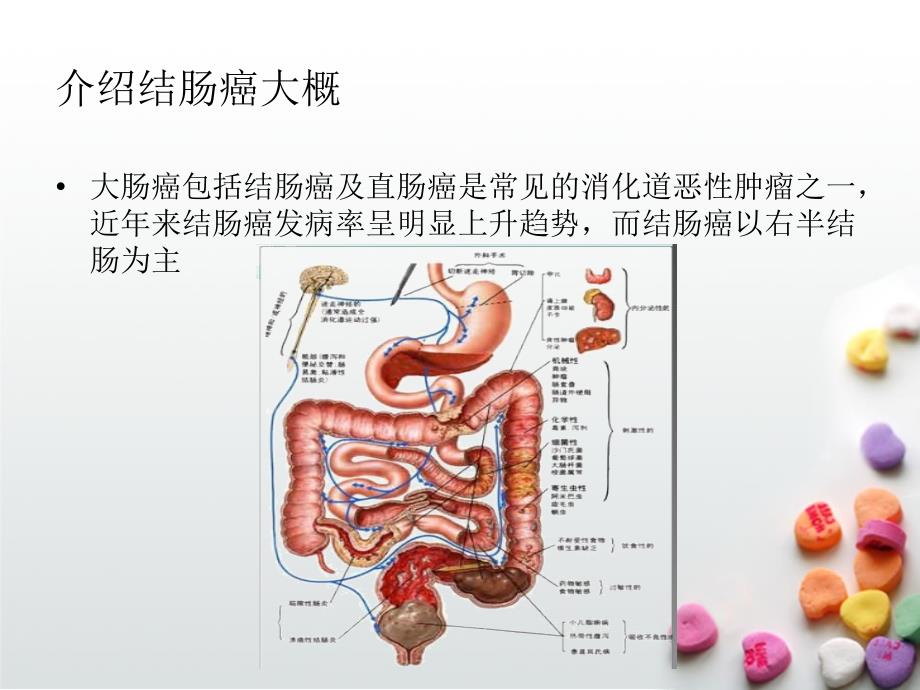 恶性肿瘤病人常见症状的护理.ppt_第3页