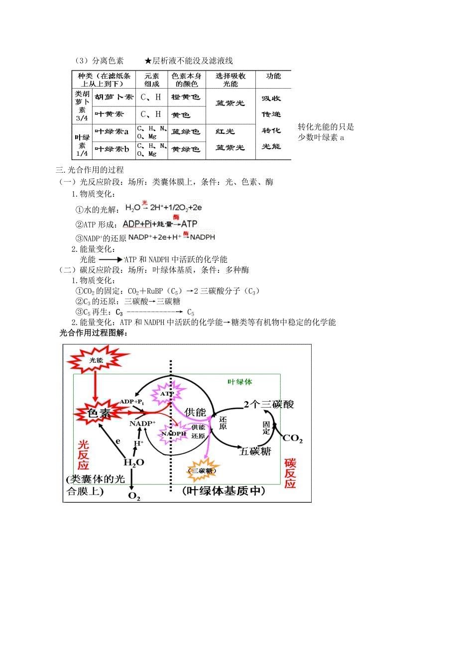 3.细胞代谢-知识整理.doc_第5页