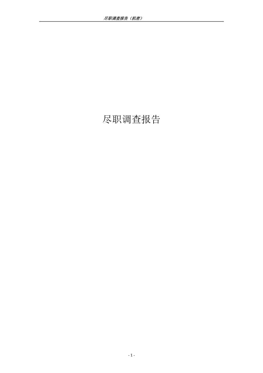 尽职调查报告模板_第1页