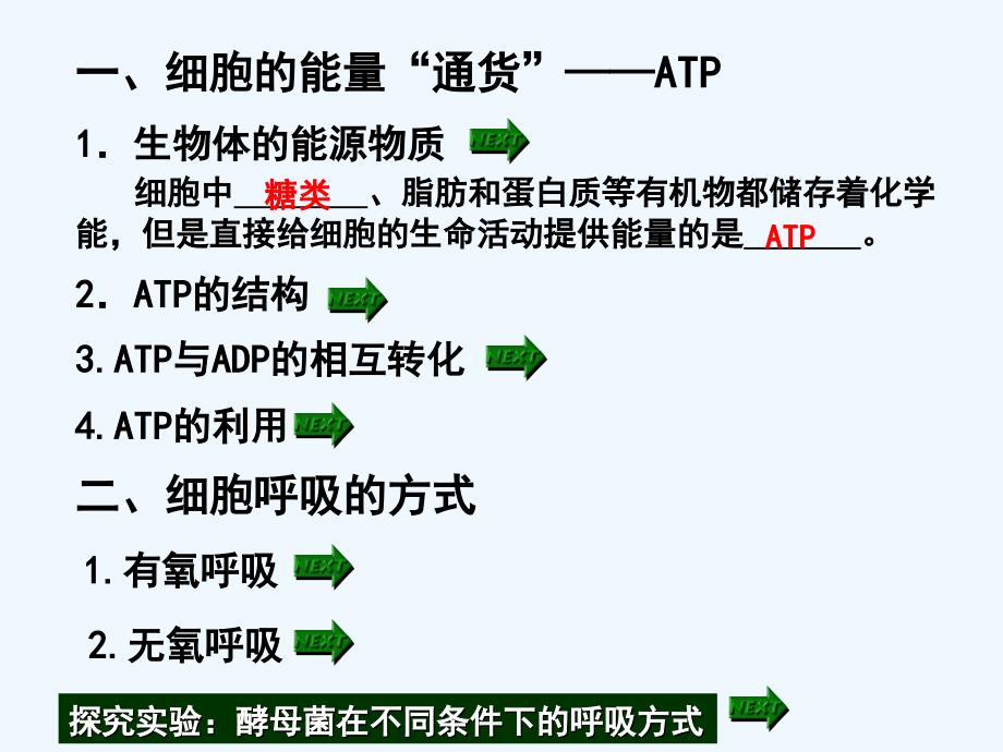 讲细胞的能量通货ATP及ATP的主要来源细胞呼吸课件_第2页