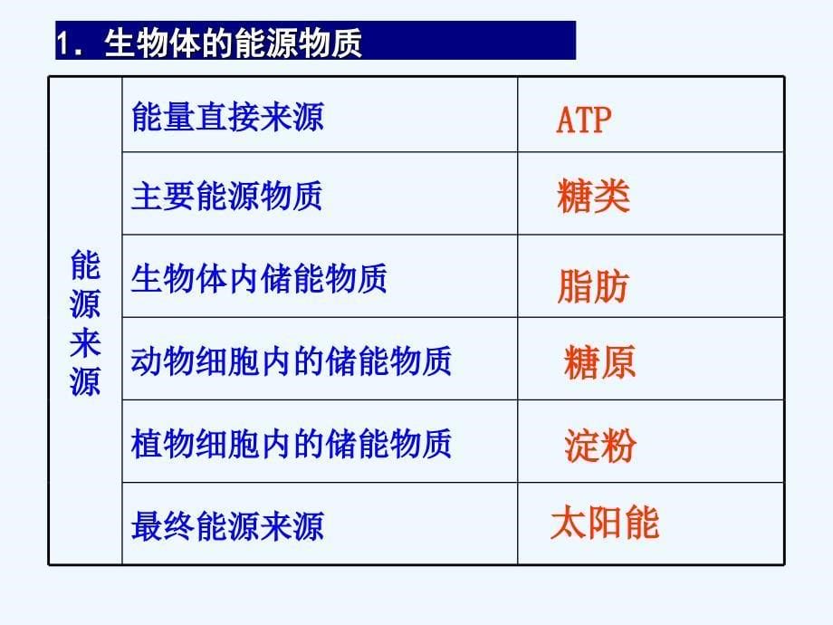 讲细胞的能量通货ATP及ATP的主要来源细胞呼吸课件_第5页