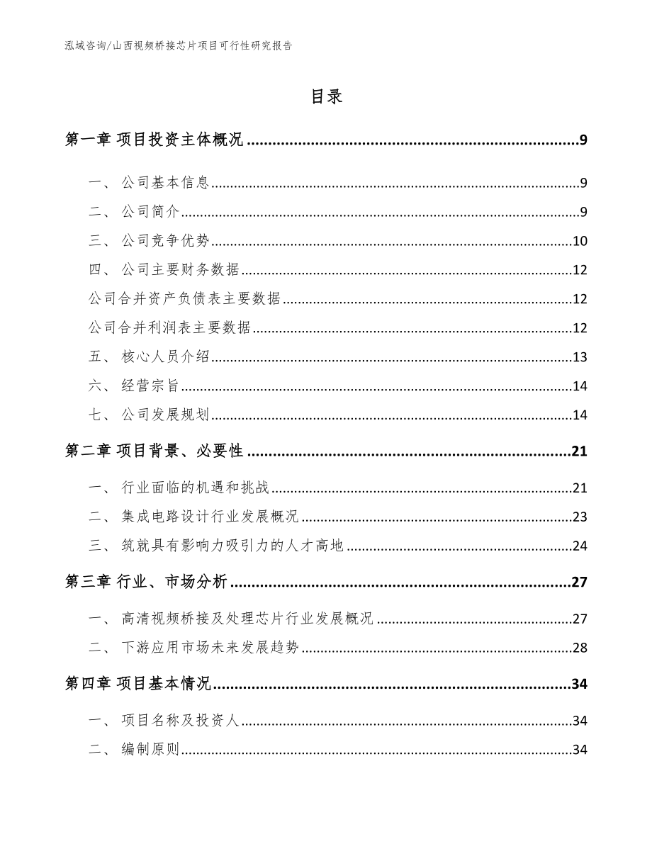 山西视频桥接芯片项目可行性研究报告_第2页