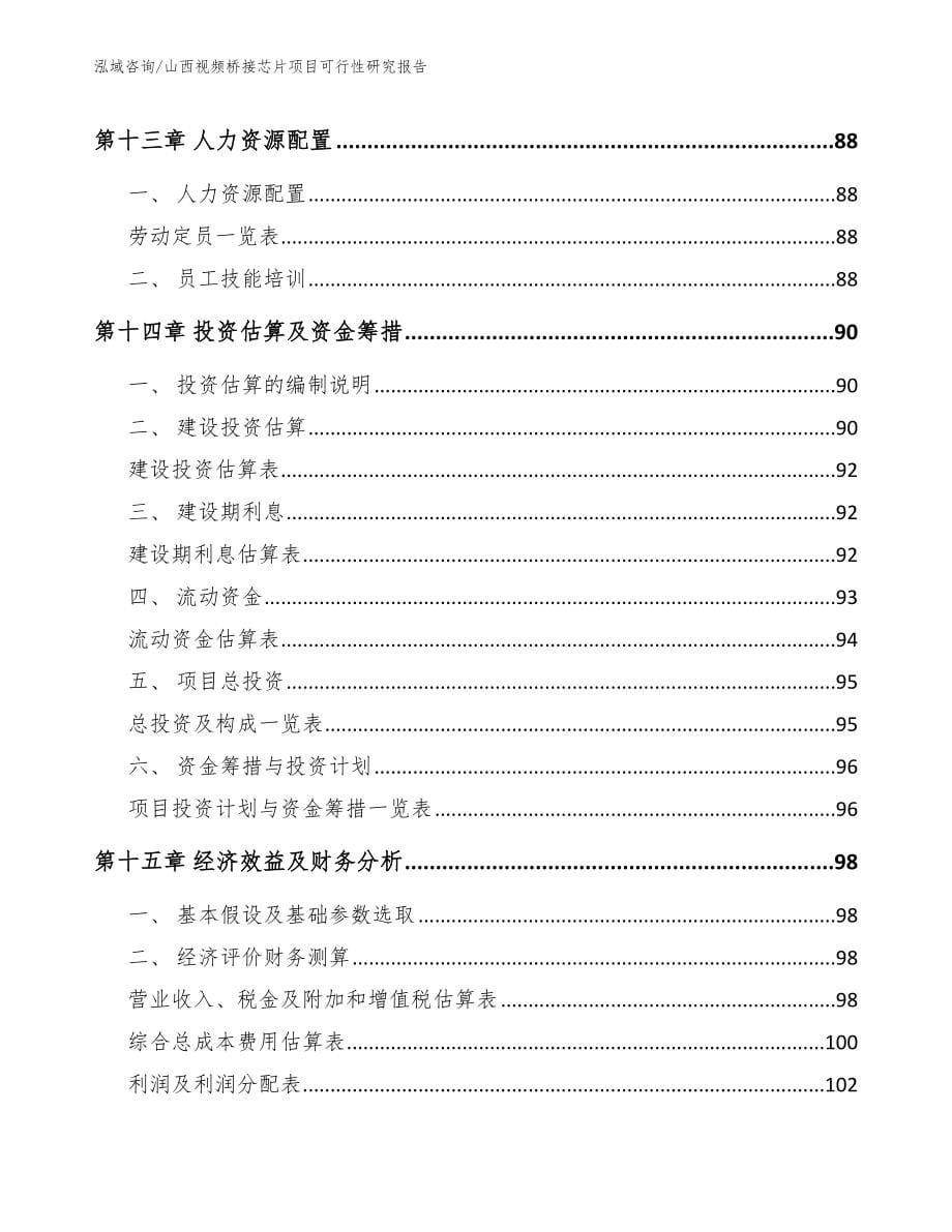 山西视频桥接芯片项目可行性研究报告_第5页