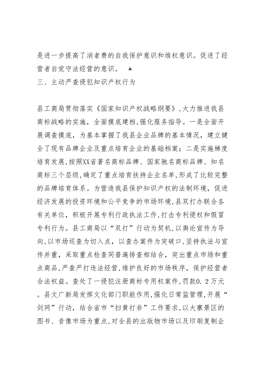 打击侵犯知识产权和制售假冒伪劣商品工作总结_第2页