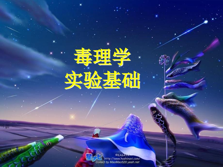 51环境毒理学常用实验方法_第2页