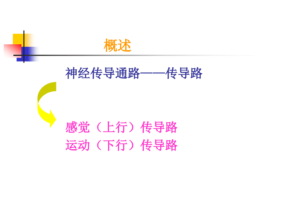 神经系统的传导通路同名106课件_第2页