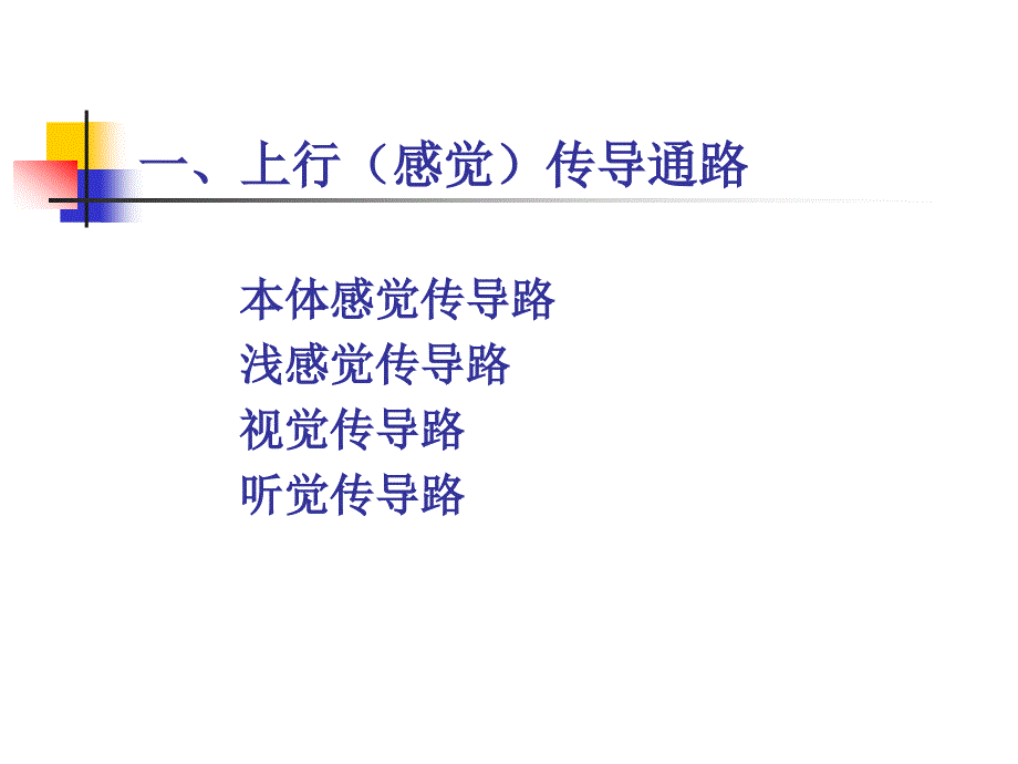 神经系统的传导通路同名106课件_第3页